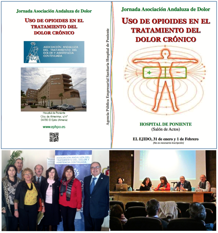 Uso de Opioides en el Tratamiento del Dolor Crónico