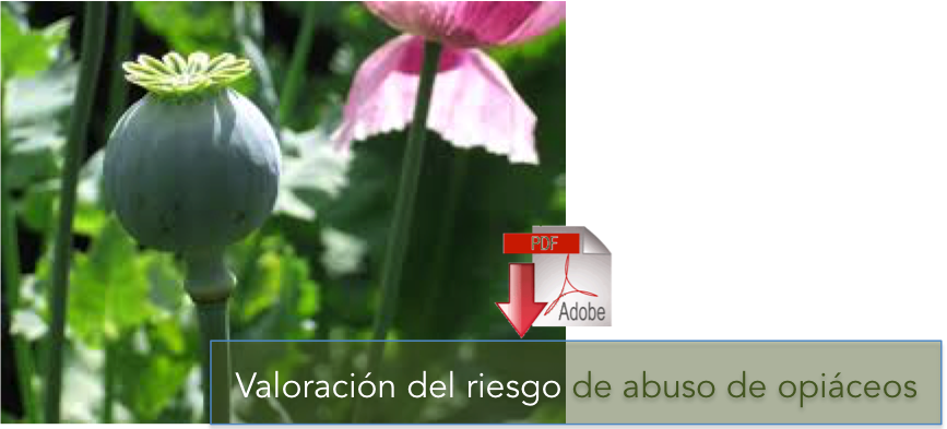 Valoración del riesgo de abuso de opiáceos