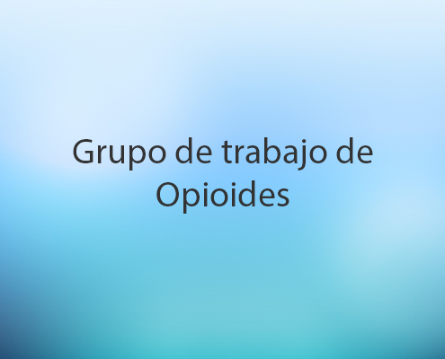 Grupo de trabajo de opioides