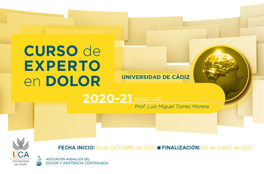 Curso de Experto en Dolor, 2020 – 2021